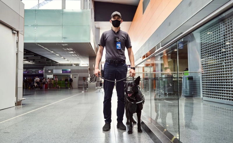 Cdo Securite Boite De Securite Pugnac Agent De Securite Conducteur Canin Dintervention 2 1