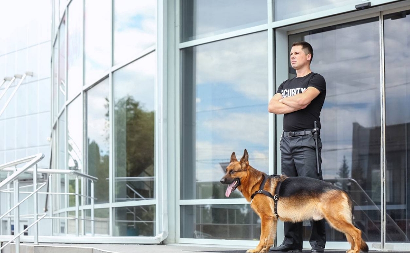 Cdo Securite Boite De Securite Pugnac Agent De Securite Conducteur Canin Dintervention 3